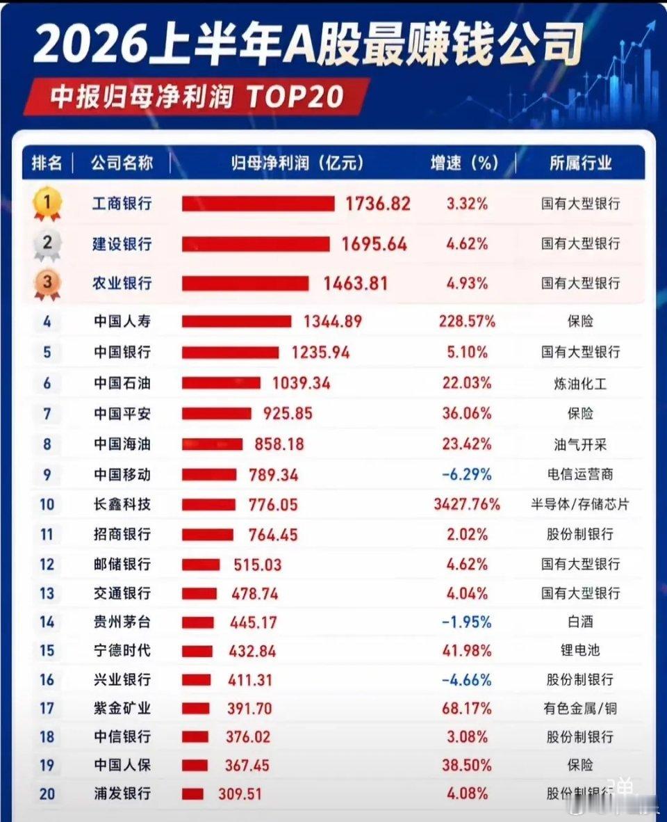 2026年上半年A股最赚钱的公司排名。合肥的科技巨头长鑫存储进入前十，前面的都是