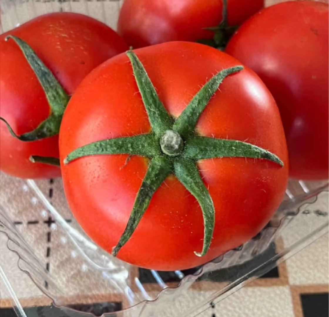 鸡蛋现在已经配不上西红柿了现在什么菜都贵，我买三个西红柿6.5元