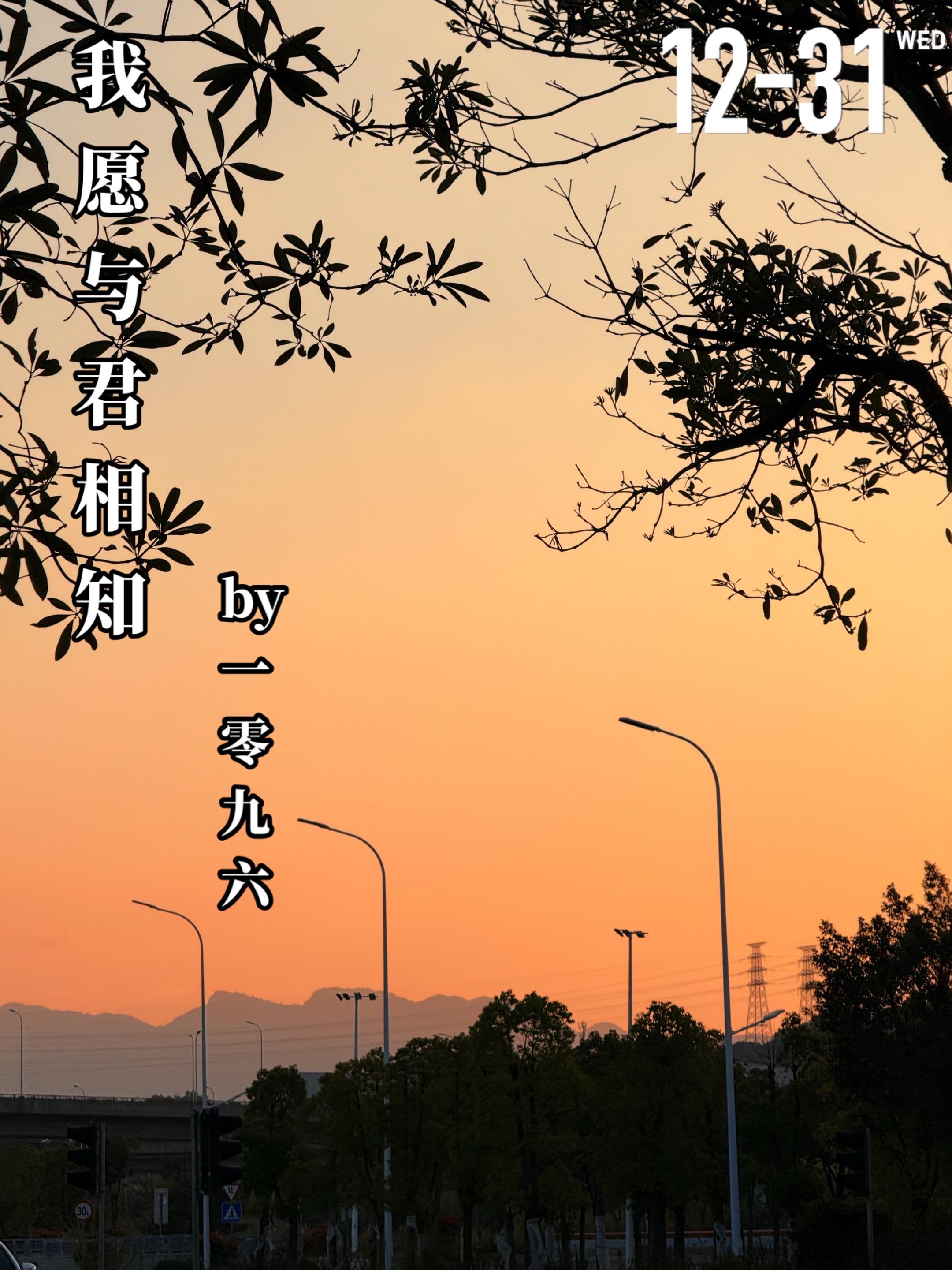 《我愿与君相知》by一零九六。丁念（女主）是一名高中老师，与傅绍恒（男...