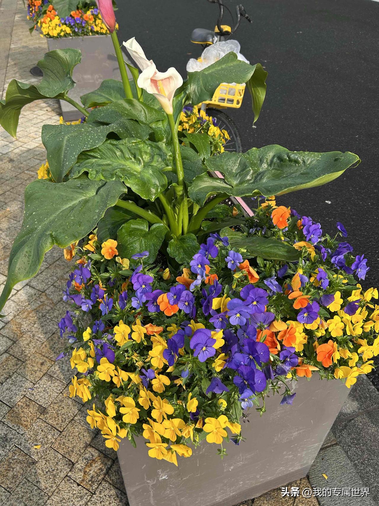 苹果14plus拍照还是非常不错的，简洁真实看起来很舒服那种，买苹果手机就是看中