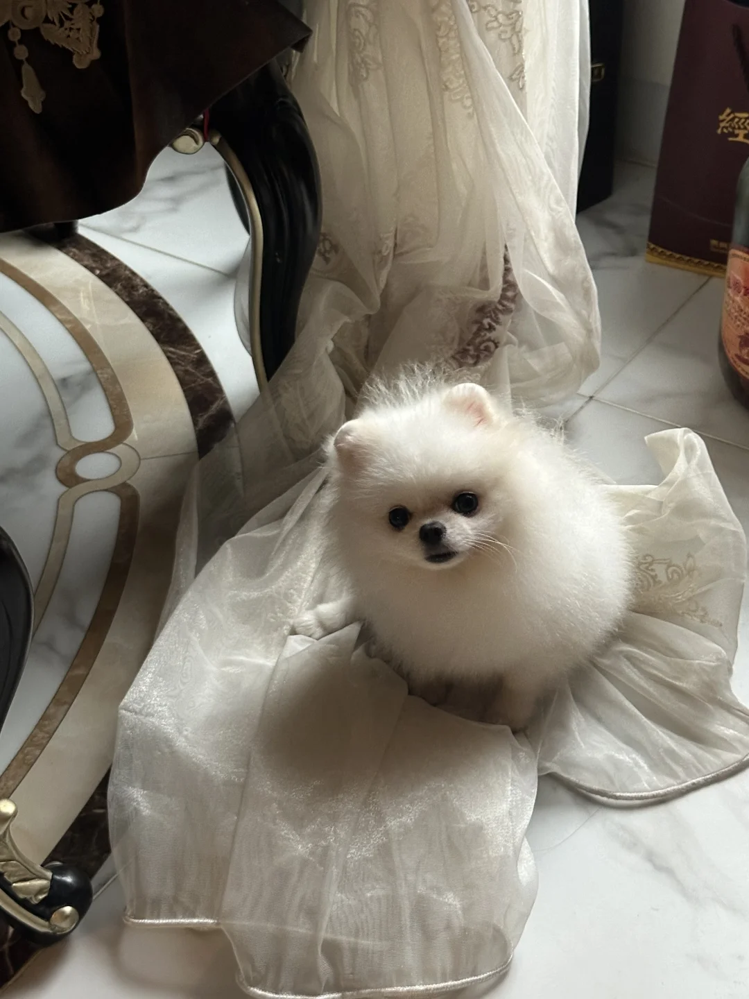 宝宝 你是一颗雪媚娘