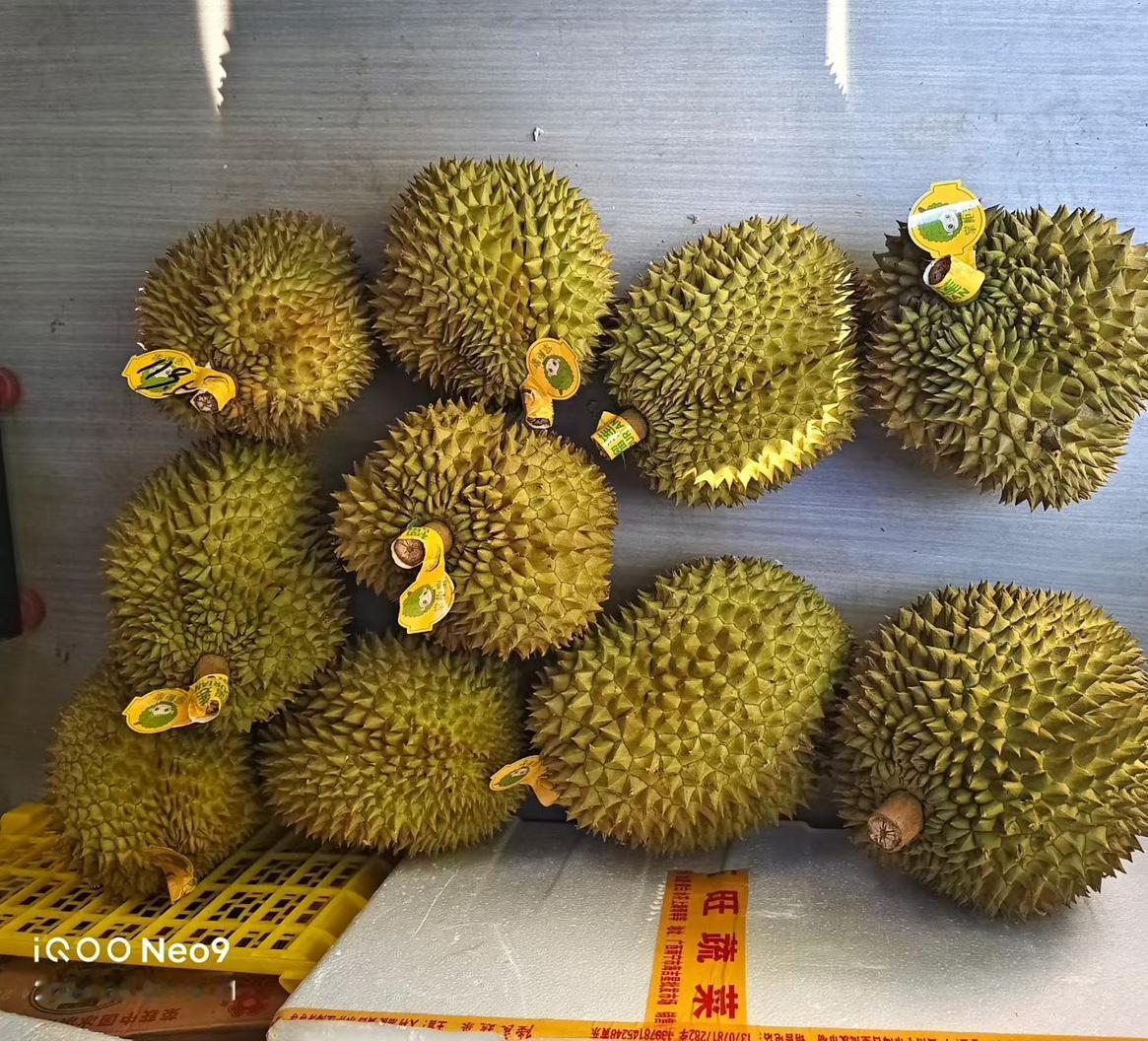 在线等！哪个榴莲好？准备全款买一个！
买榴莲攻略 榴莲熟度辨别 榴莲果型挑选 榴