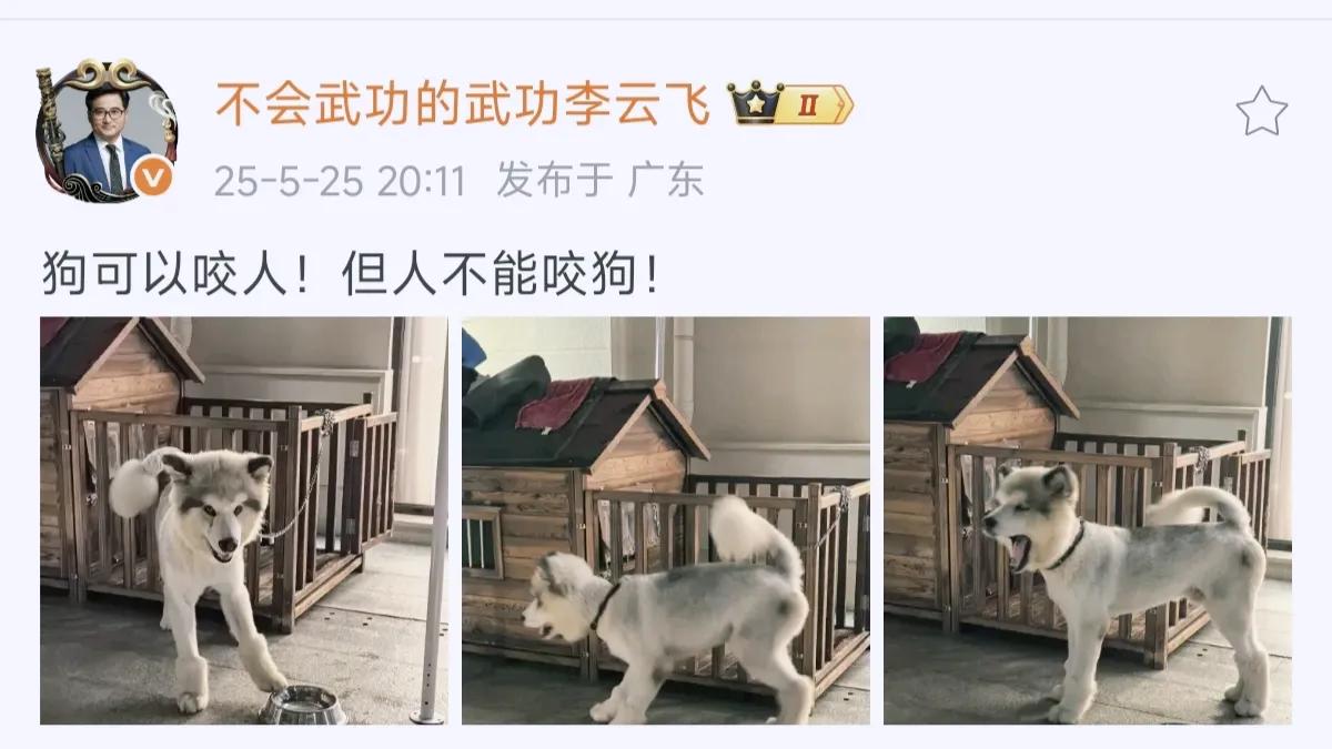 字字珠玑，比亚迪李云飞发了一组图片，骂人不带一个脏字，我觉得这是逼得没有办法了，