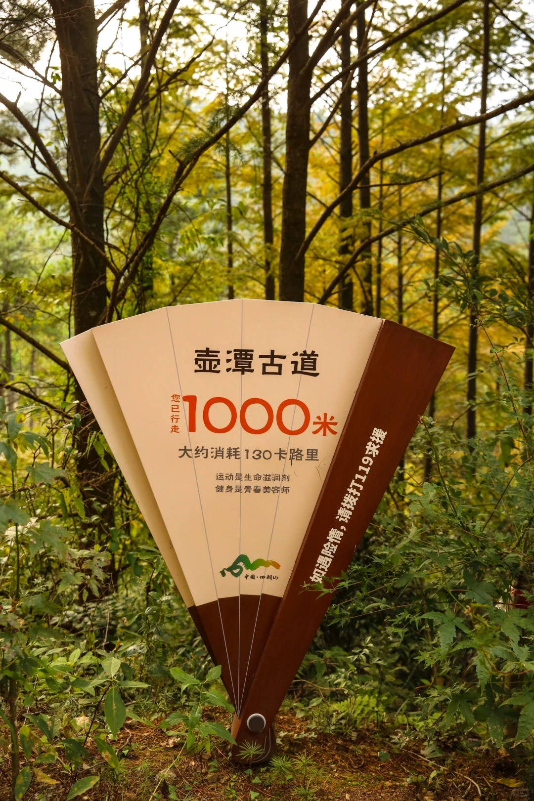 今年四明山的早秋从这里开始了 还不出发？