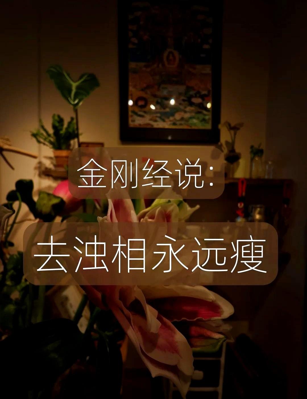 很多人找我减重，说自己喝水都胖。
原来身体一直在替我们装着那些没说出口的委屈和憋