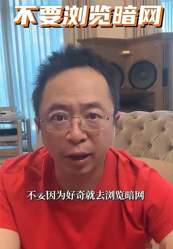 “不要因为好奇去浏览暗网！不要去浏览暗网！不要去浏览暗网！”
​暗网到底是什么呢