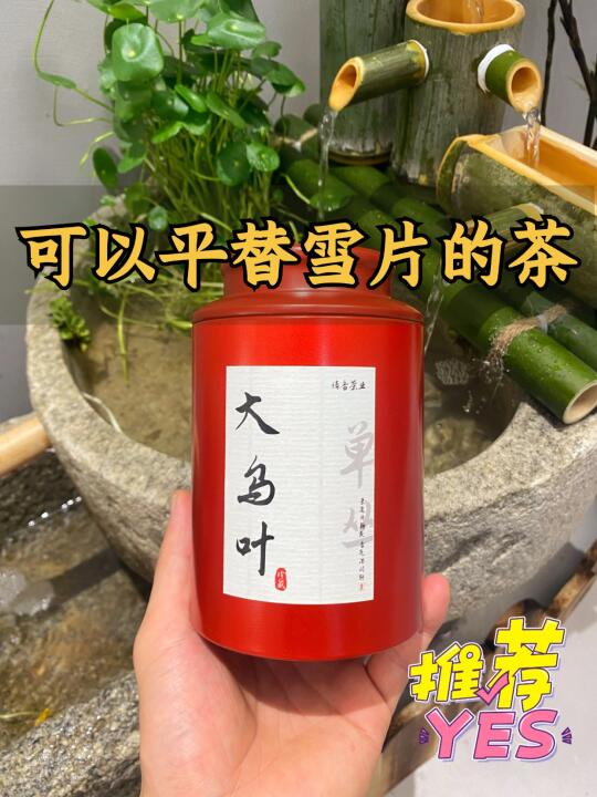 好喝不贵 | 可以平替雪片大乌叶的一条茶🎉