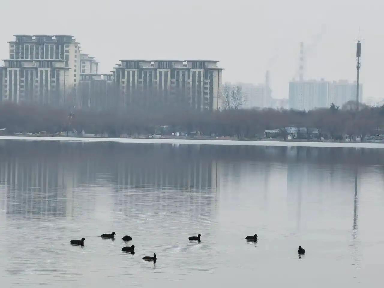 城市里特殊群体。