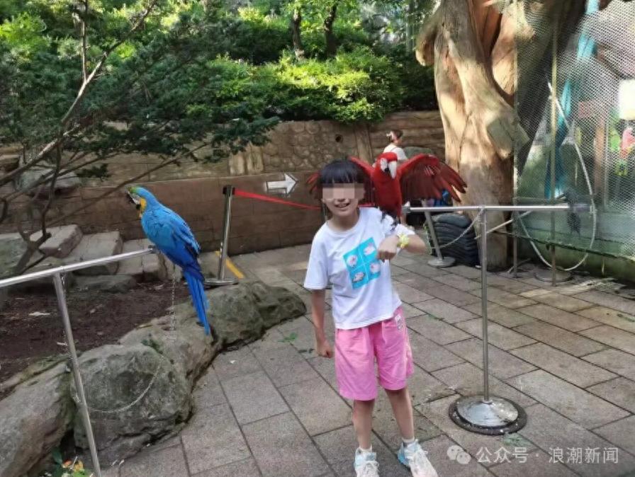 太心痛！内蒙古牙克石，一名12岁的脑瘫女孩，拼尽全力好好生活，扛住了天生脑瘫带来