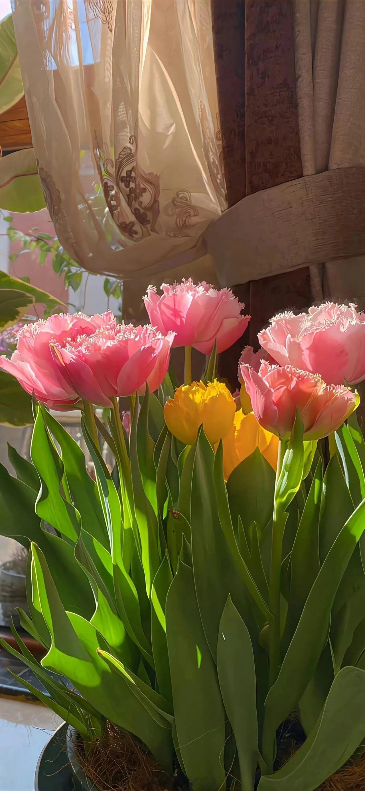 他也想成为她的全世界，为她依托。——《沥青》晚安 推文