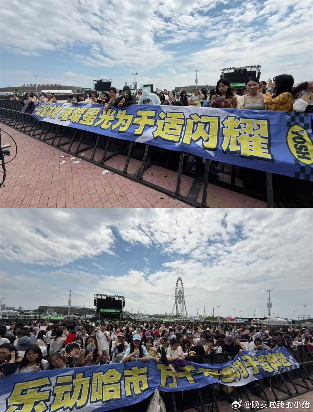 于适哈尔滨音乐节应援排面，都是小鱼儿🥺🥺 