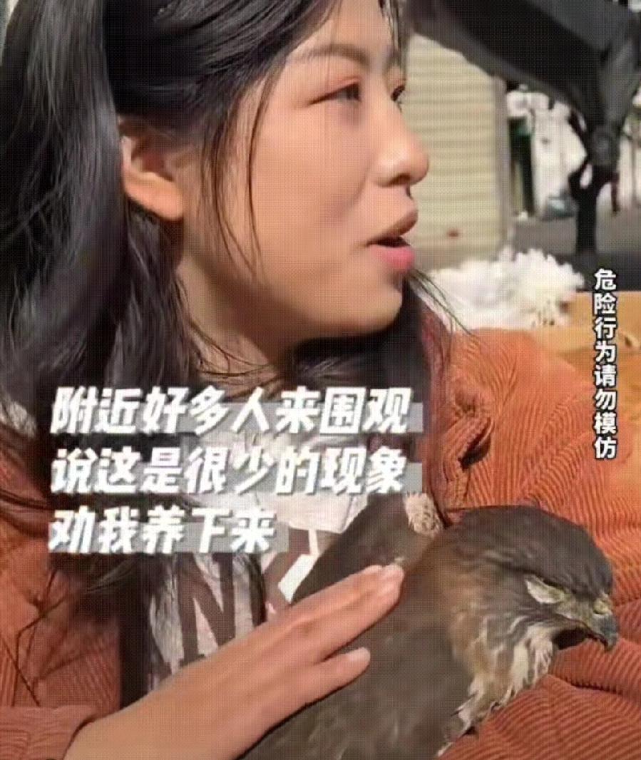 晒太阳时被大鸟主动扑怀，这份野生的信任太戳人
 
女子正在外边晒太阳，一只大鸟突