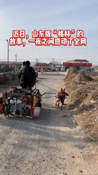 “潸然泪下” 山东，老潘是位拾荒老人，15年前，他在垃圾堆里捡到一只刚满月的狗狗