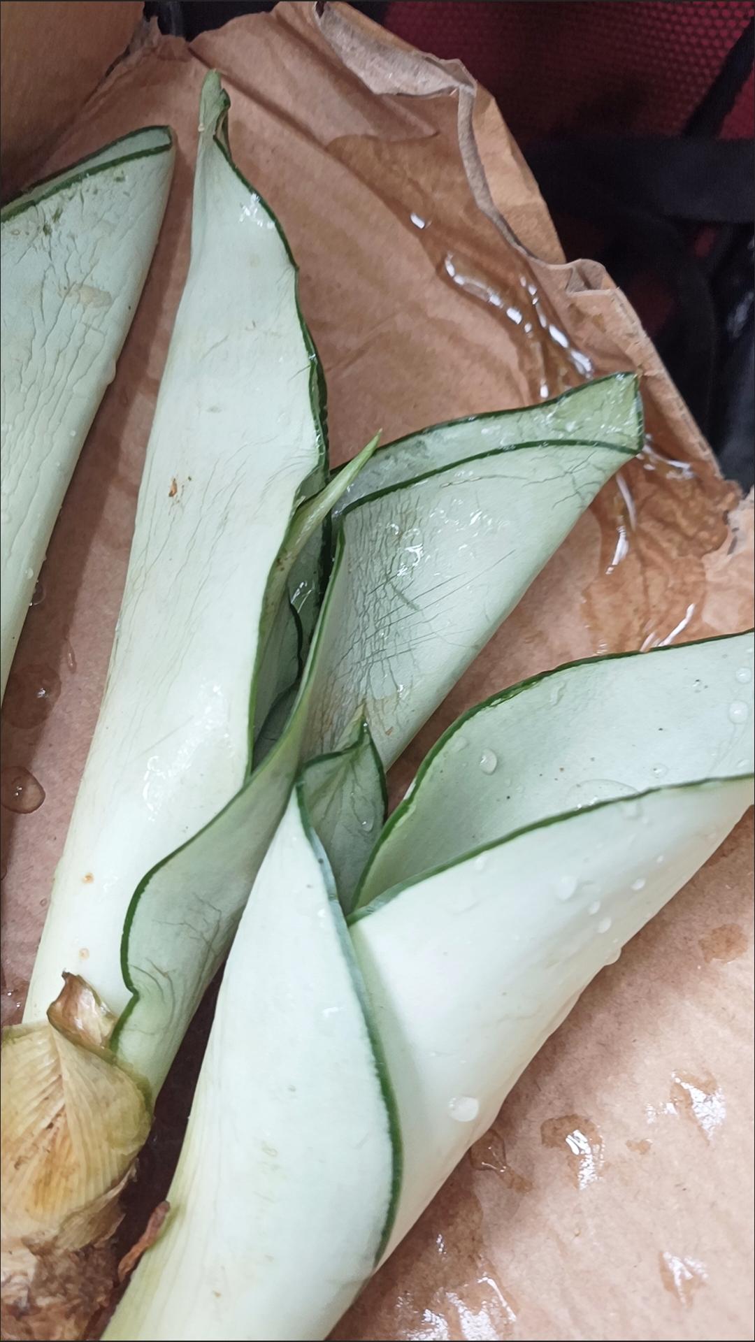 铜牌是击败对方获得的，多少有点获胜感！而银牌是被对手击败才得的，挫败感，落差感十