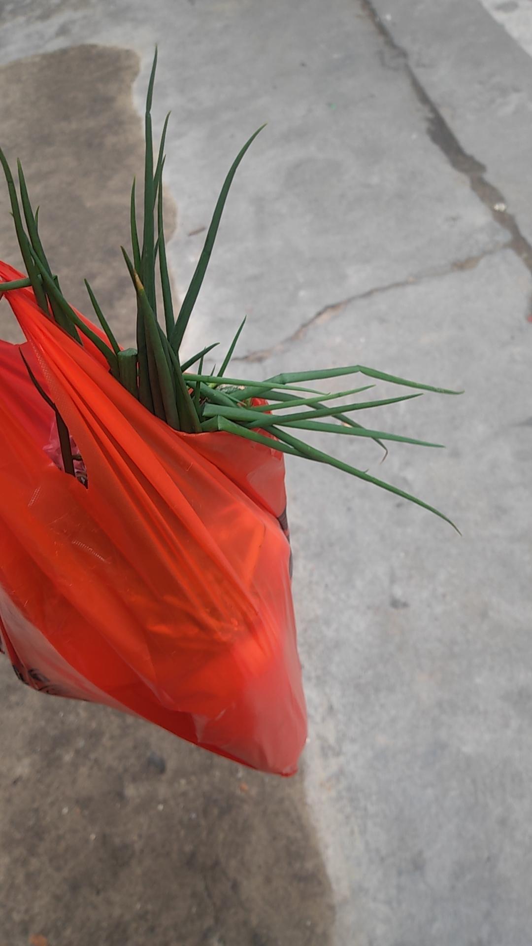 [呲牙]记录我的一天：
昨天起来，做了一企便饭，吃饱了好干活。
干了一些家务活，