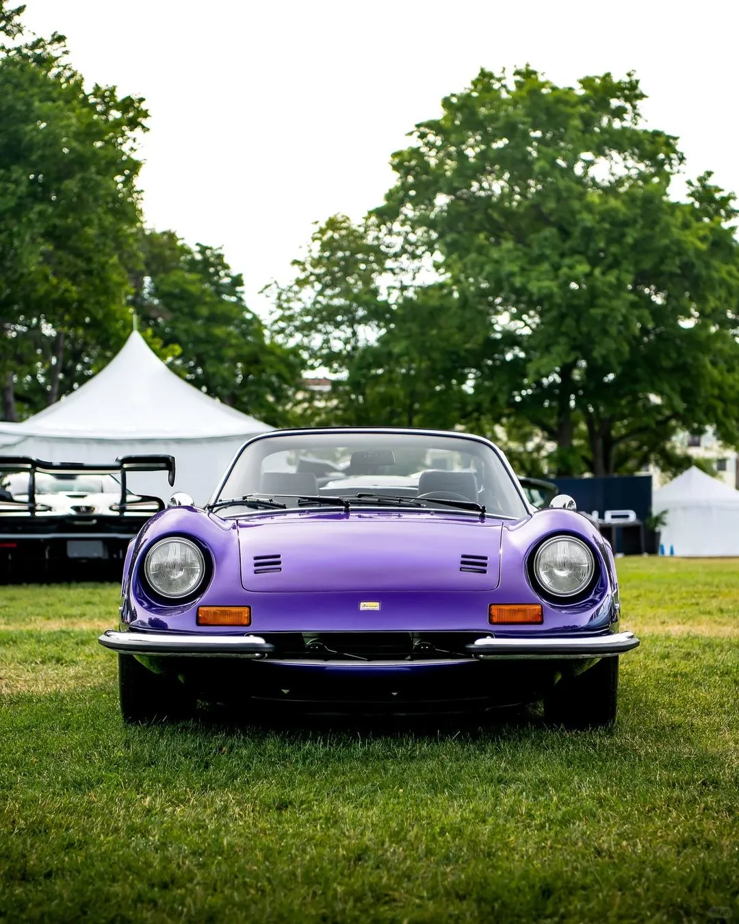 Viola Dino Metallizzato!💜