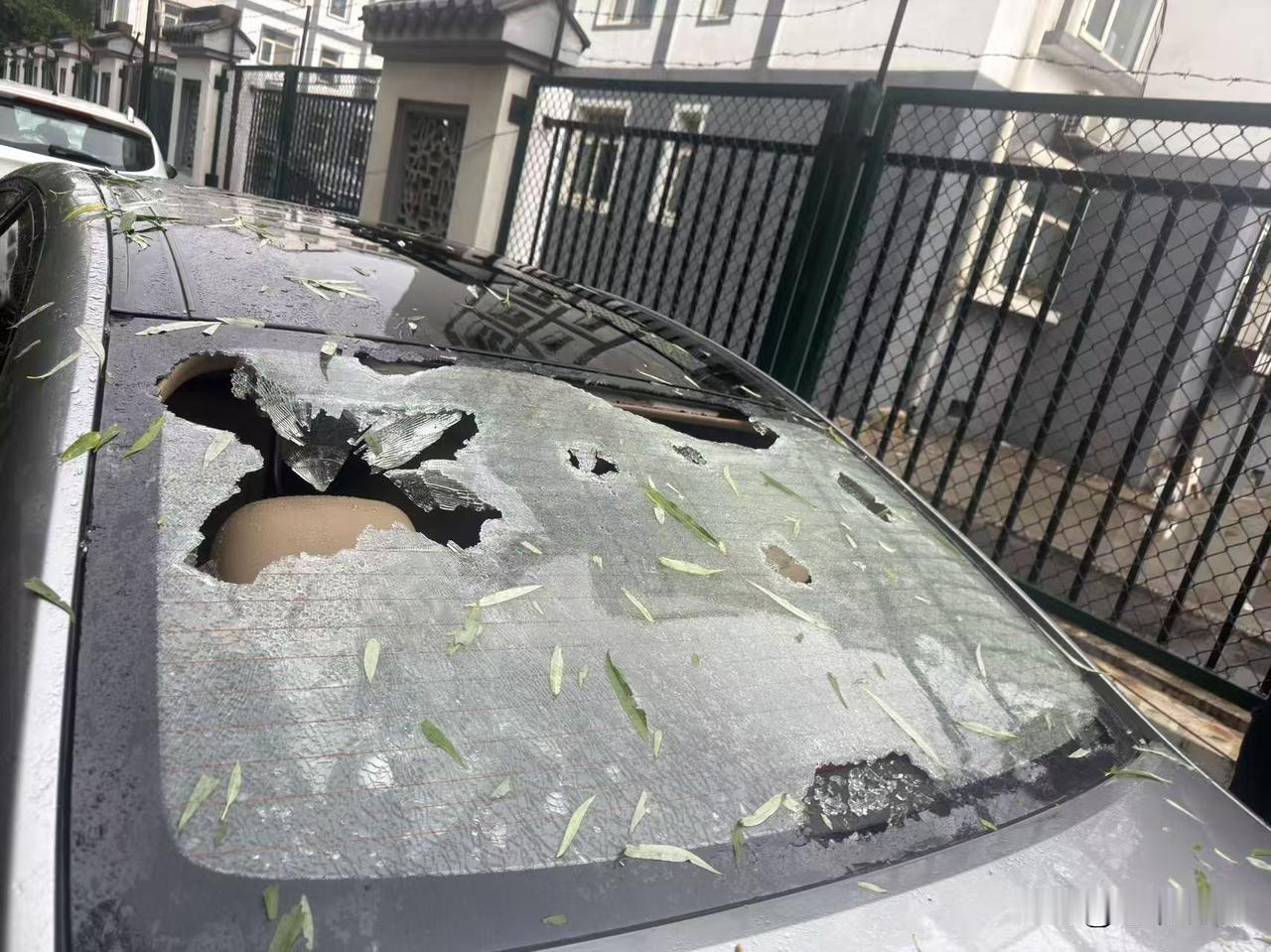 宣化的老天爷这是闹唰唻？可了不得了，今天下午下了一阵大雨加冰雹，好多冰雹跟鸡蛋、