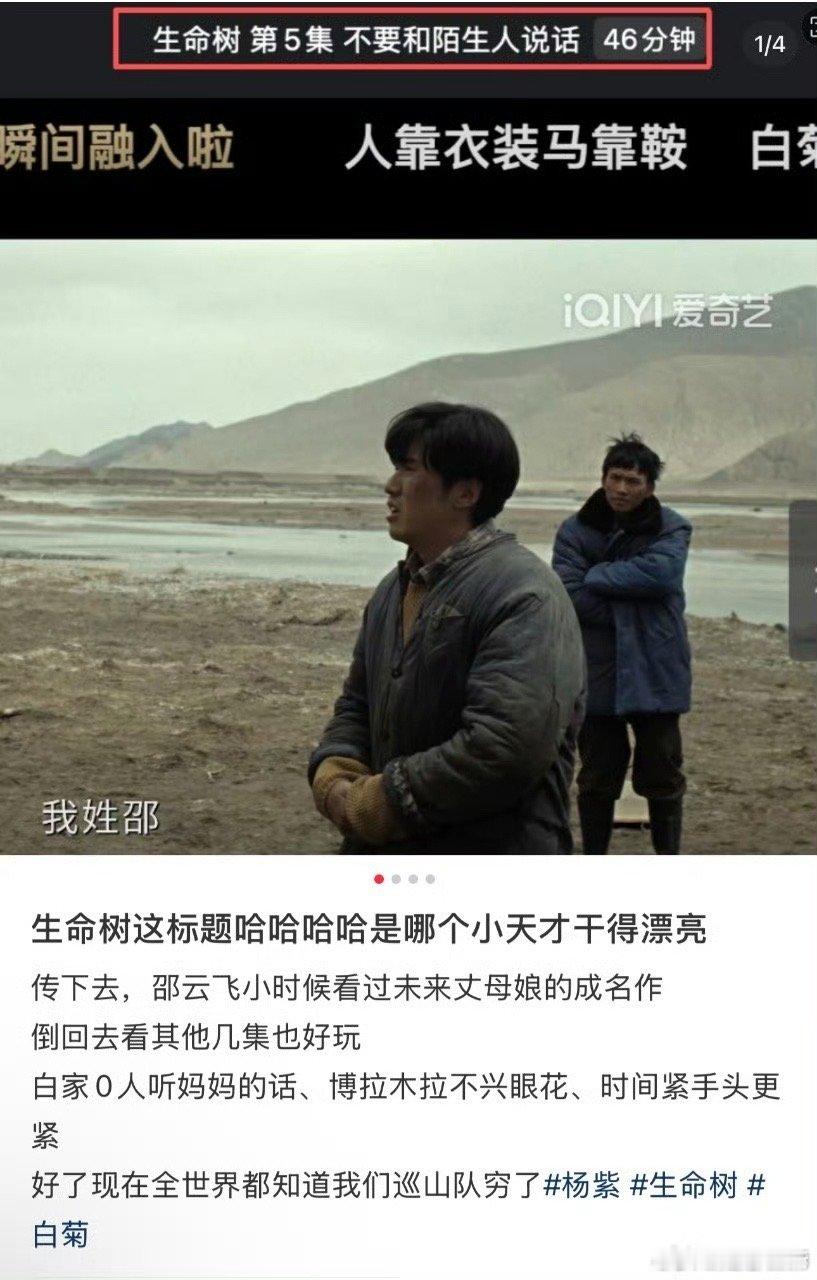 00后混入生命树了 《生命树》分集标题是懂年轻人语言的！把巡山队的窘迫写成“时间