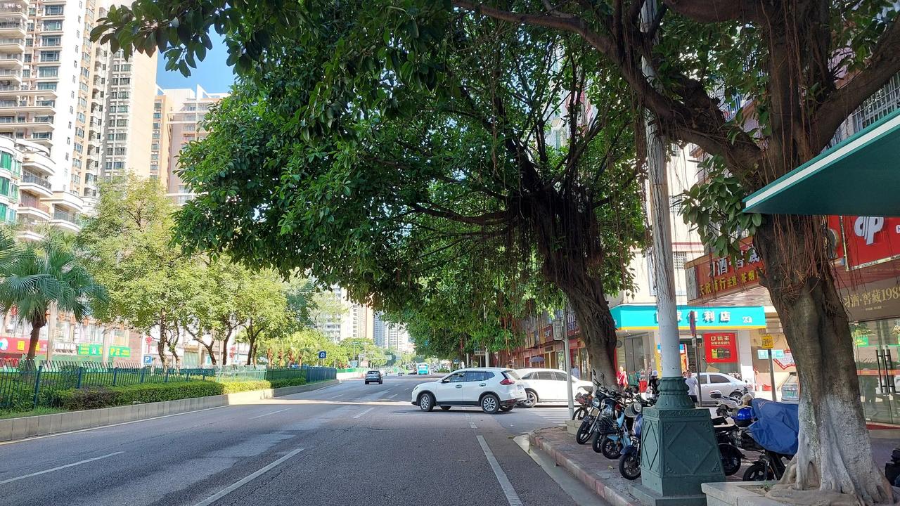 绿树成荫的清新区太和镇，放眼望去都是高大的绿色树木，绿化覆盖率做的非常好，清新区