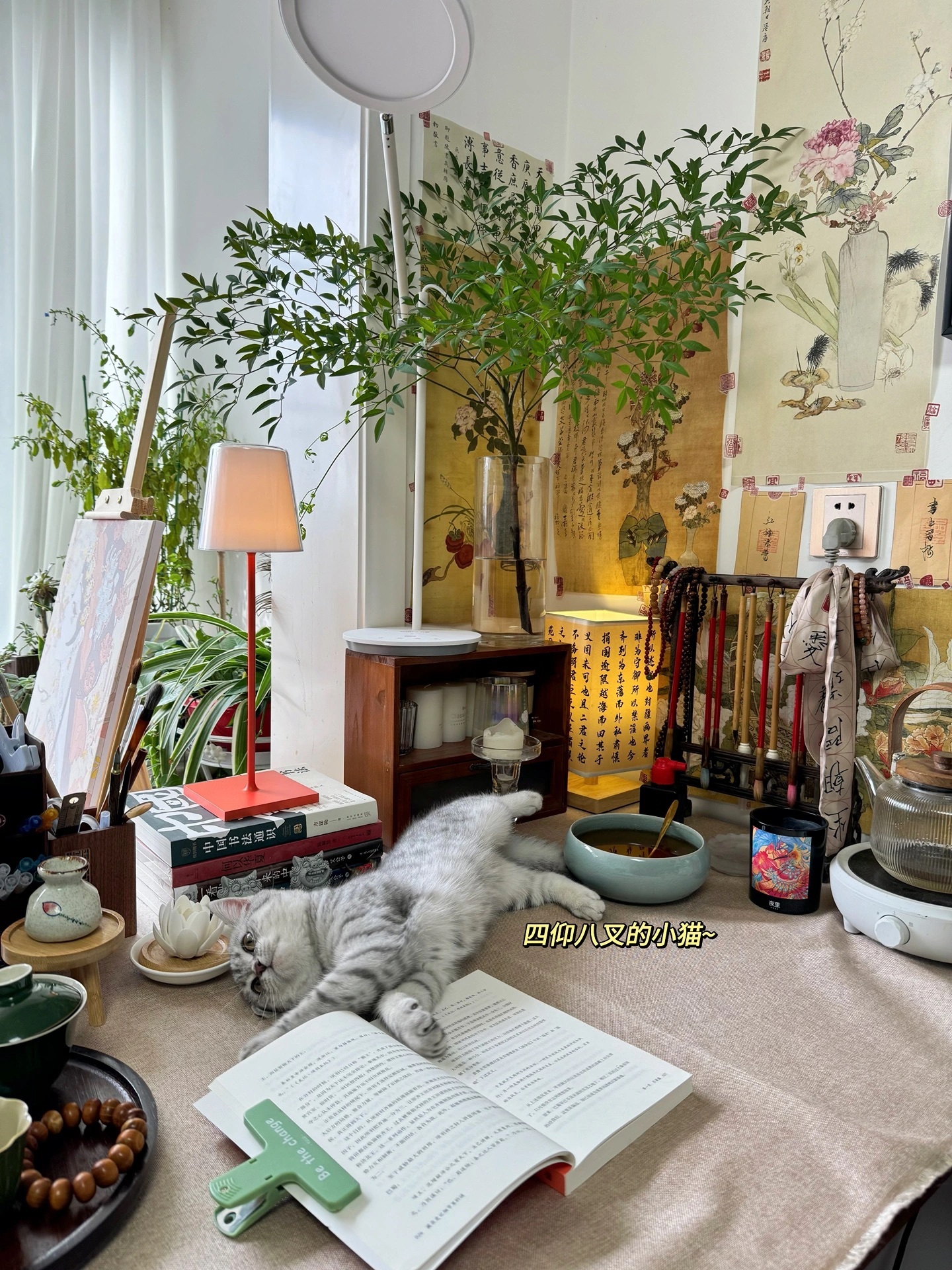 平凡的日常，讨好自己才是头等大事.📖 日历渐薄，岁月渐长，雨露霜雪，又是一年。