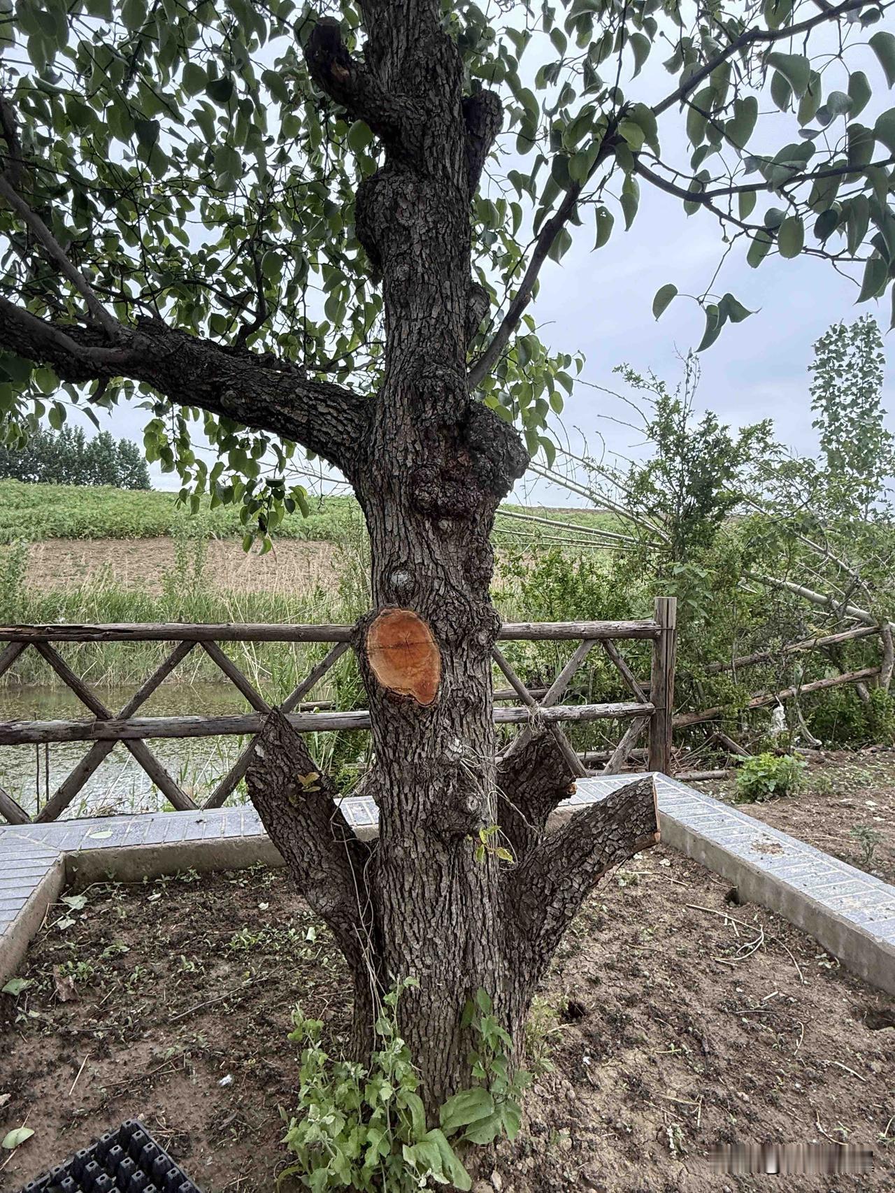 美苏争霸为什么美国胜利? 
【小对联】
上：赛道；
下：……？