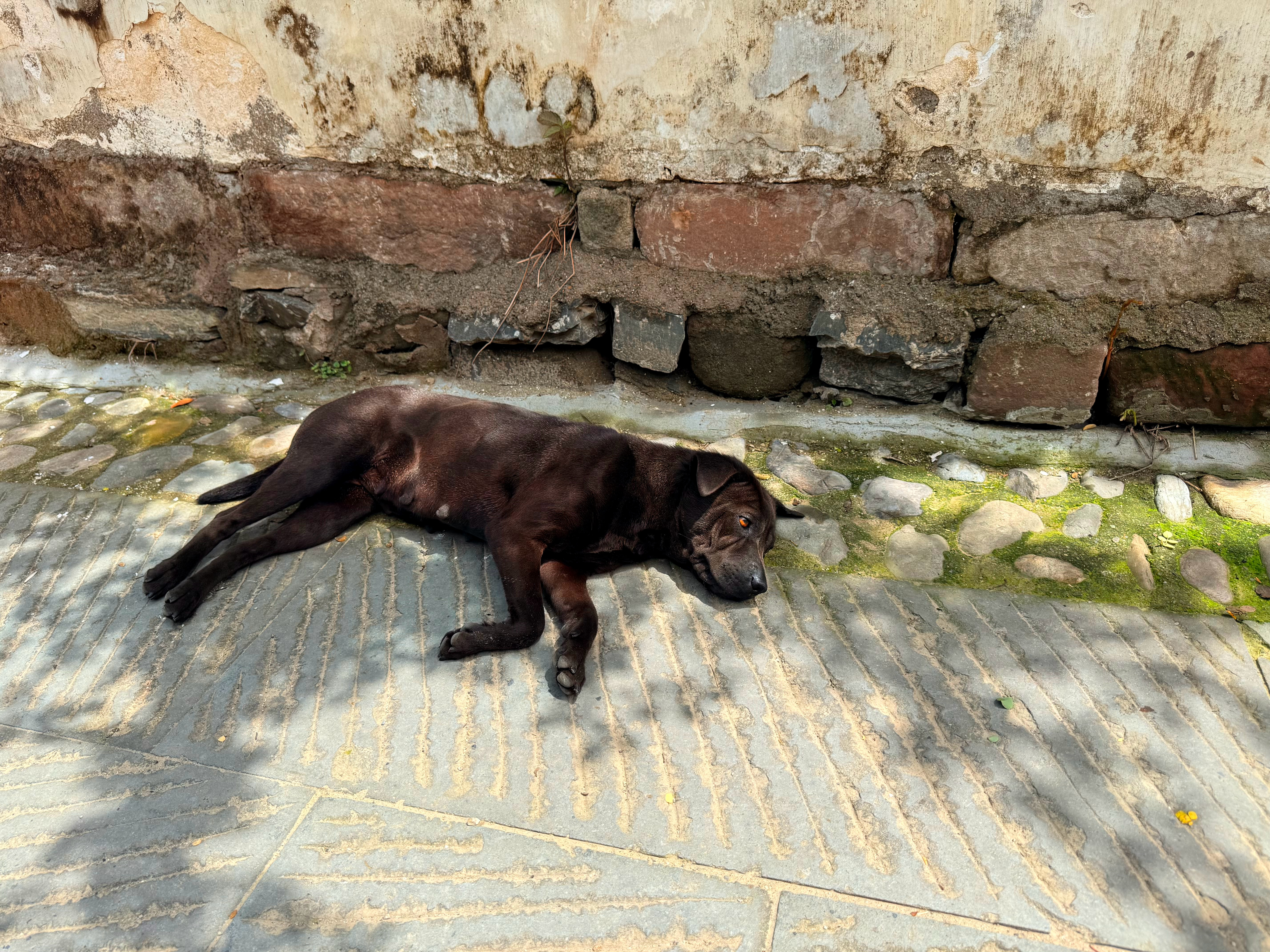 人类需要许多阳光来晒干过往的潮湿 