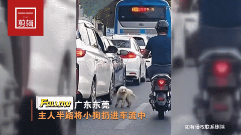 这就是所谓的爱狗人士，流浪狗来源就是这样来的，没有这样的人，哪有流浪狗？
流浪狗