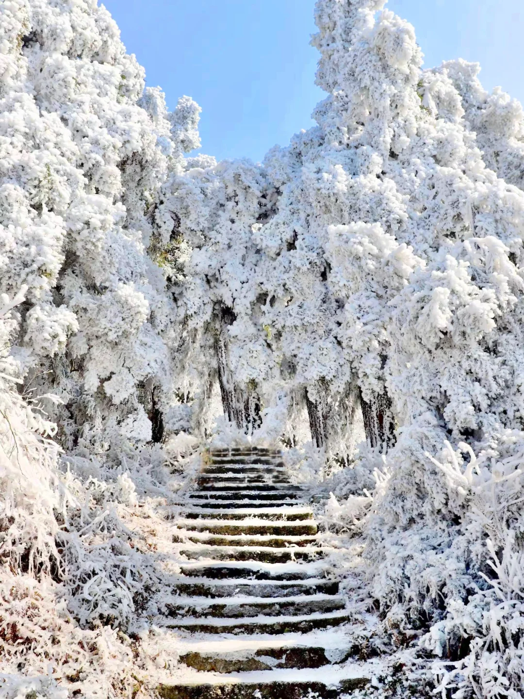 第一次来衡山看雪，直接复制这条省钱路线❗