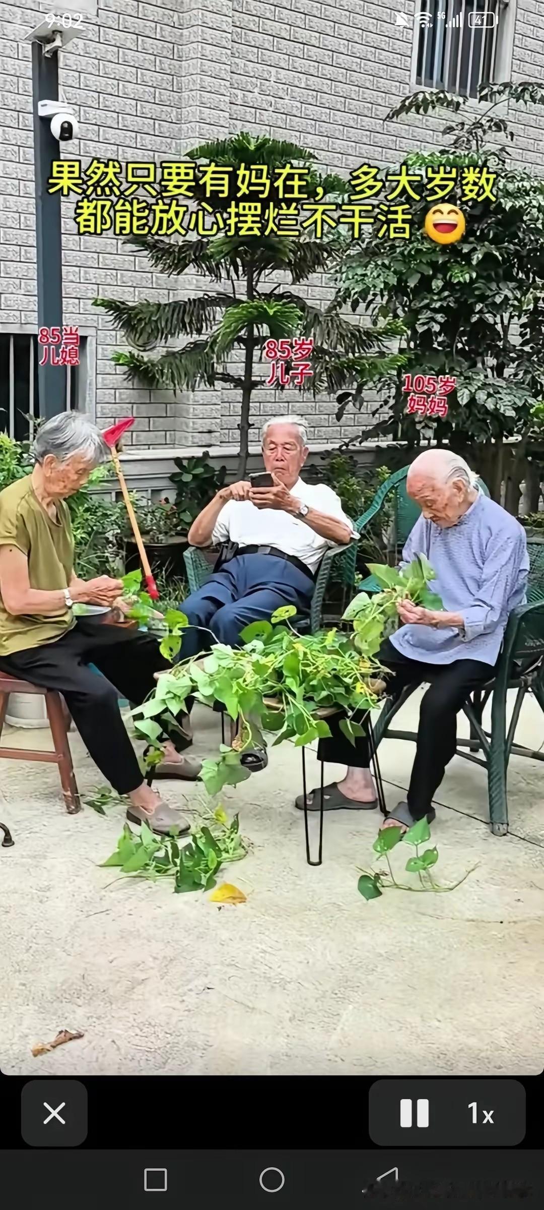 家有一老，如有一宝！
多幸福的一家子啊！85岁的儿子真是享清福，你看他活得多滋润