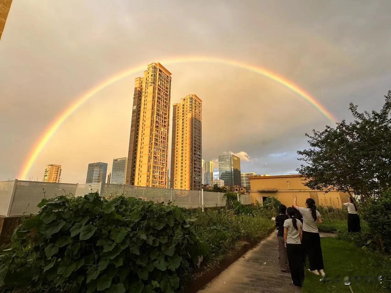 6月20号的深圳坪山惊现彩虹，你看到了吗？
#深圳的傍晚#