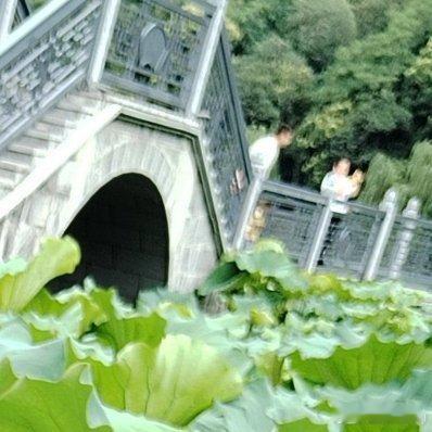 人是要有帮助的，荷花虽好，也要绿叶扶持 