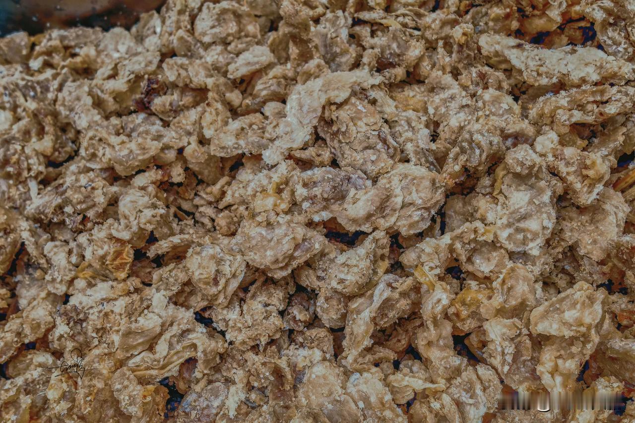 当我们踏入巍峨秀美的大别山腹地金寨🗻，这片底蕴深厚的红色沃土，正以蓬勃生长的绿