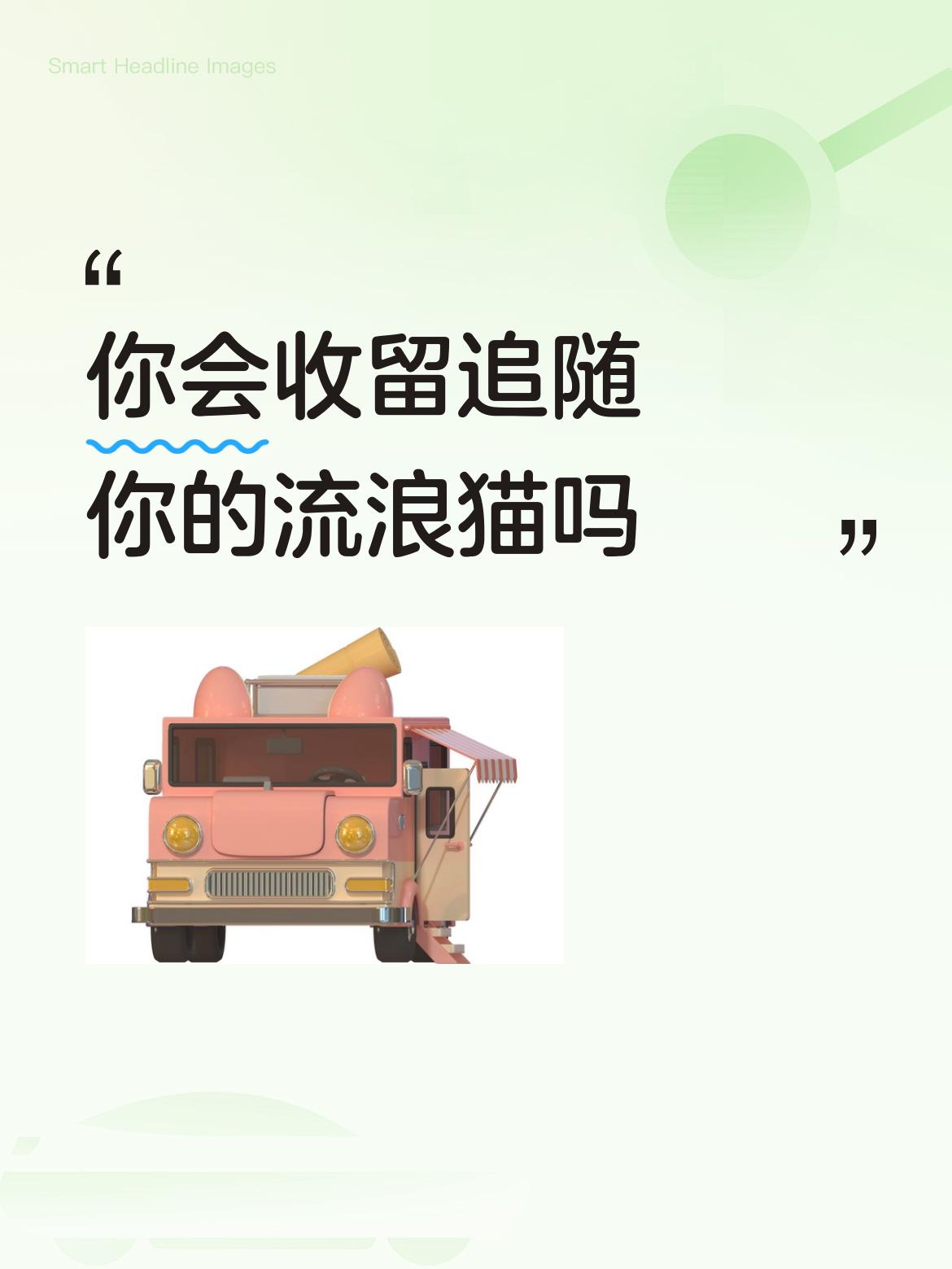 你会收留追随你的流浪猫吗善良从来都是与生俱来的！