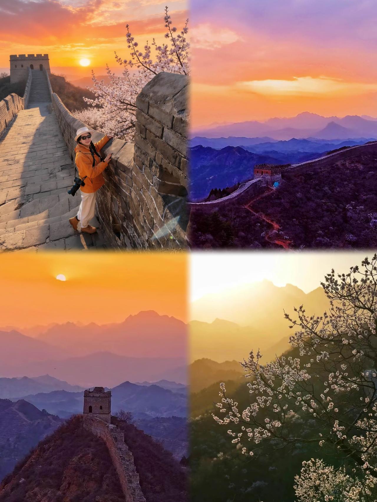 金山岭长城，在十万亩花海中追一场绝美日落

“你一句春不晚，我就到了真江南。”