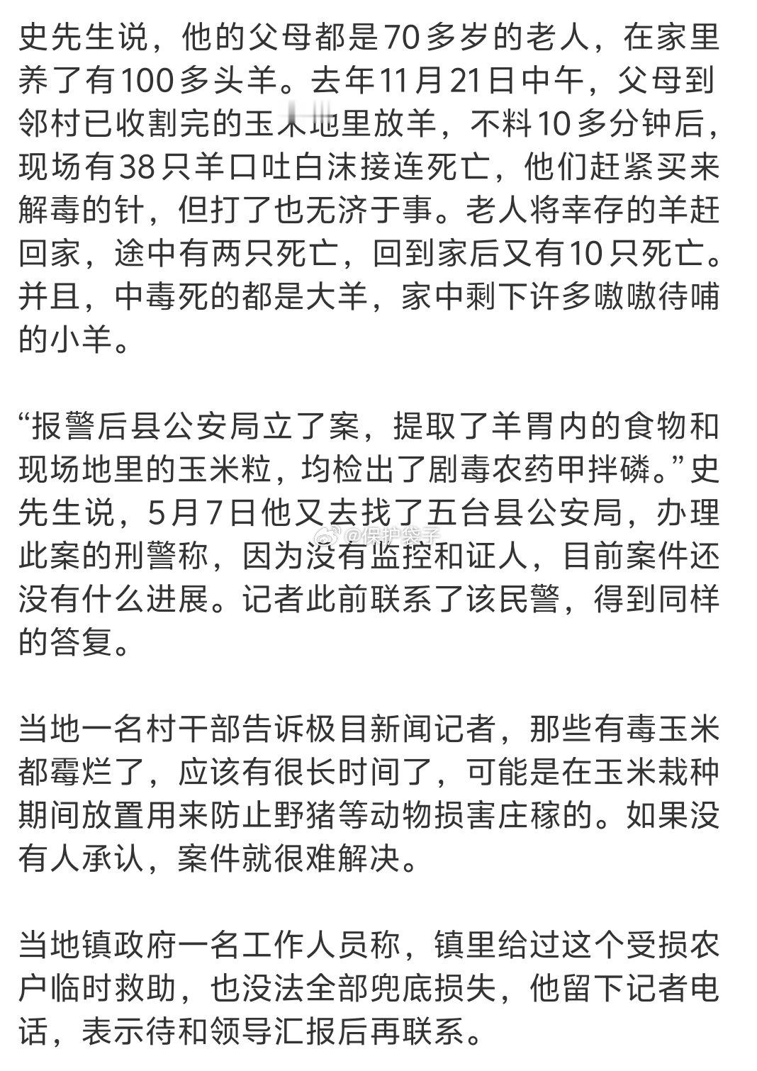 50只羊吃地里毒玉米接连死亡这么大一堆羊赶着进的是别的村的地，很难说不是存着沾点