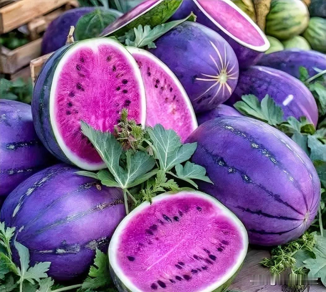 🍉 原產于加拿大，在寒冷的氣候下茁壯成長，其風味讓人聯想到新鮮的肉桂。有時被稱