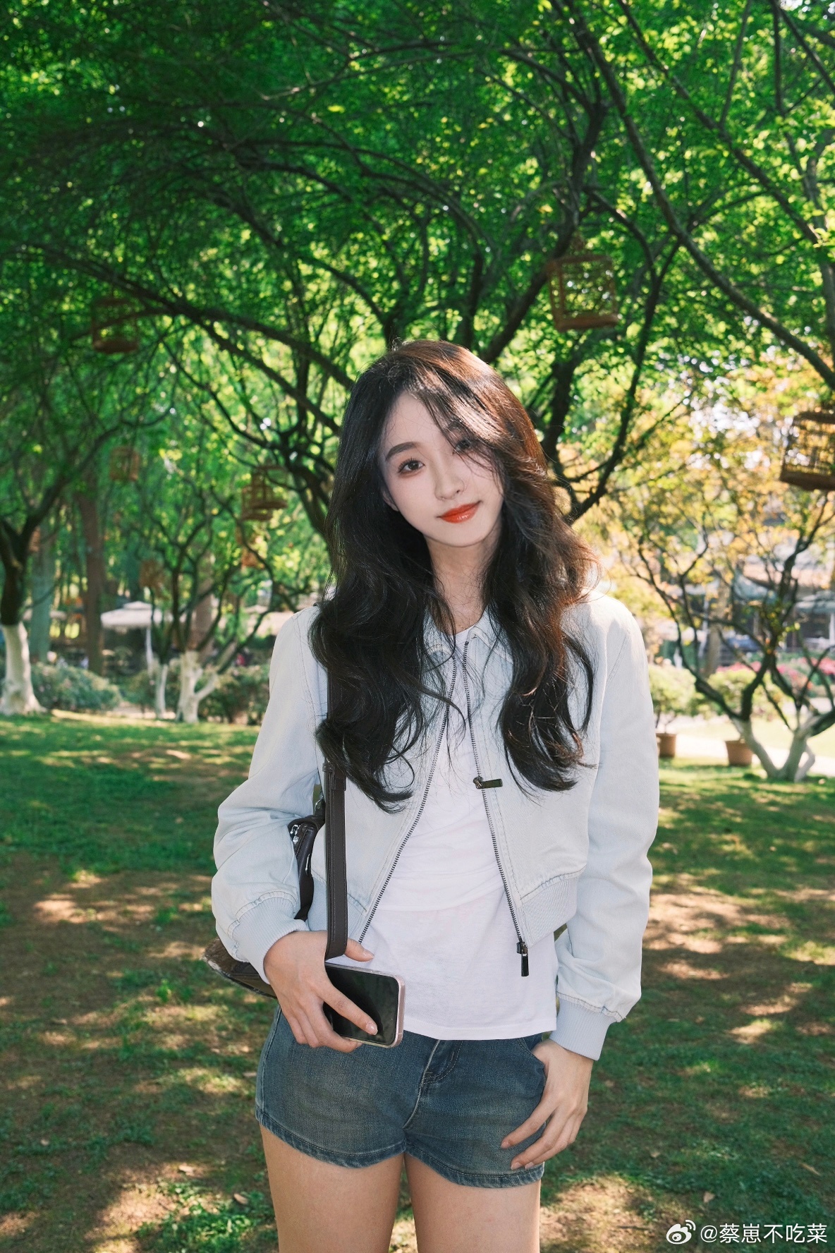 🌳˚ 🫧 ​​​