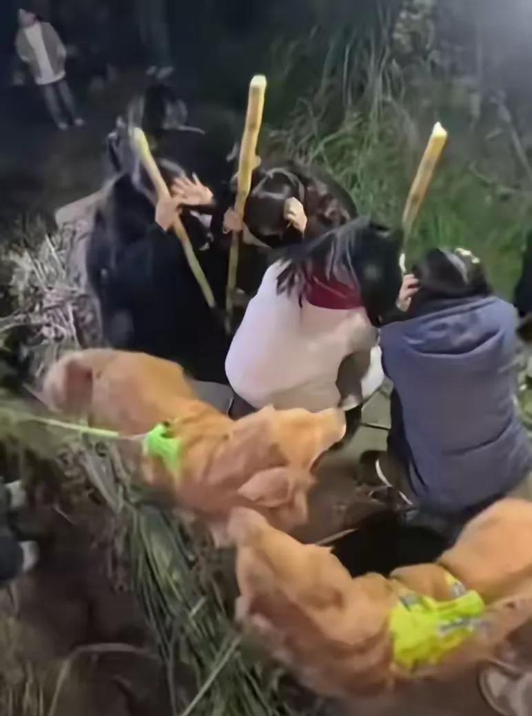 “偷甘蔗”活动，老板笑不起来了。
“偷甘蔗”活动爆火。老板由最初开心的自嘲人多，