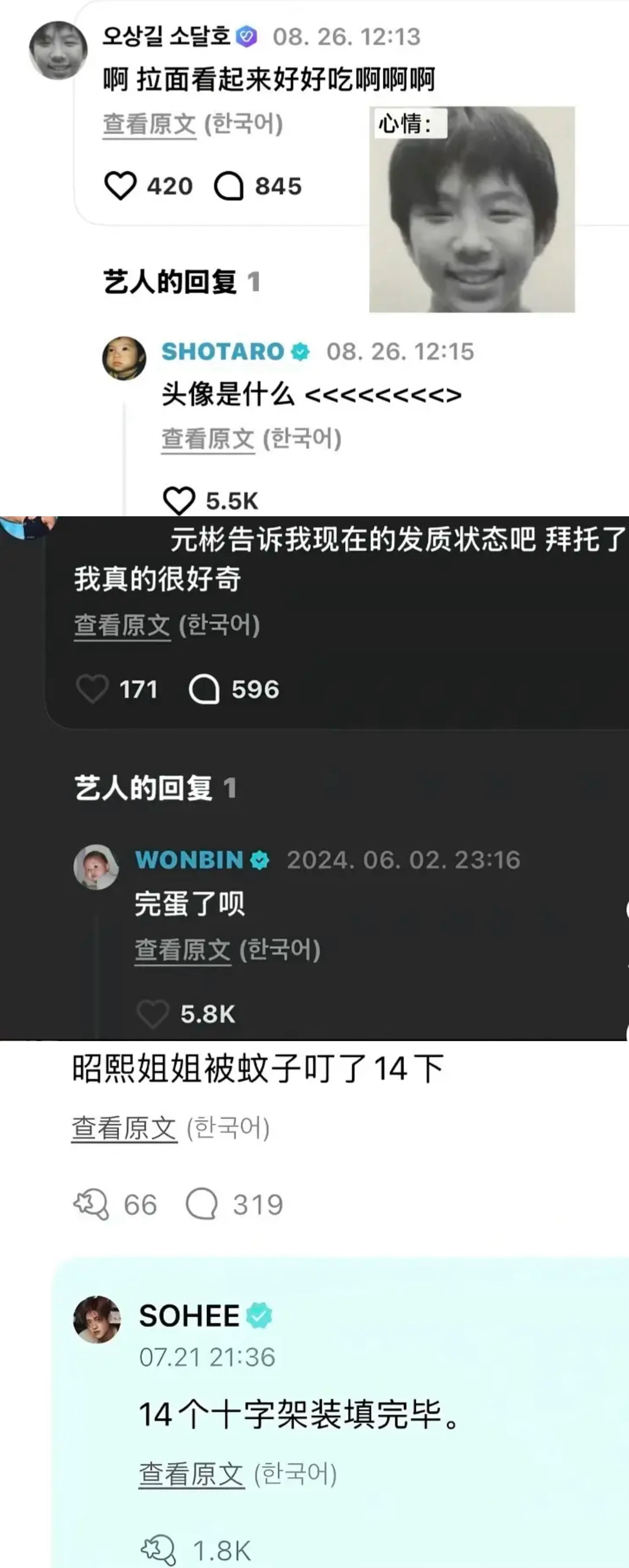 RIIZE成员wvs回复 感觉舔一口嘴唇能把自己毒死 将太郎 朴元彬 宋银硕 郑