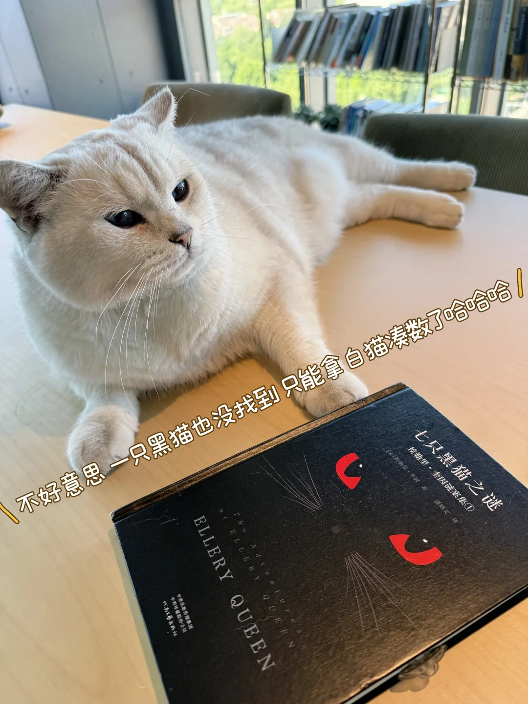 埃勒里·奎因短篇集推荐～