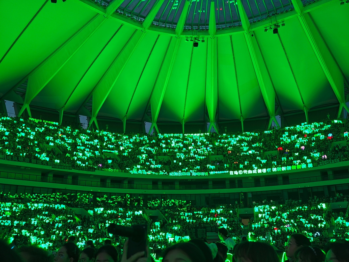 绿海 很安心💚 