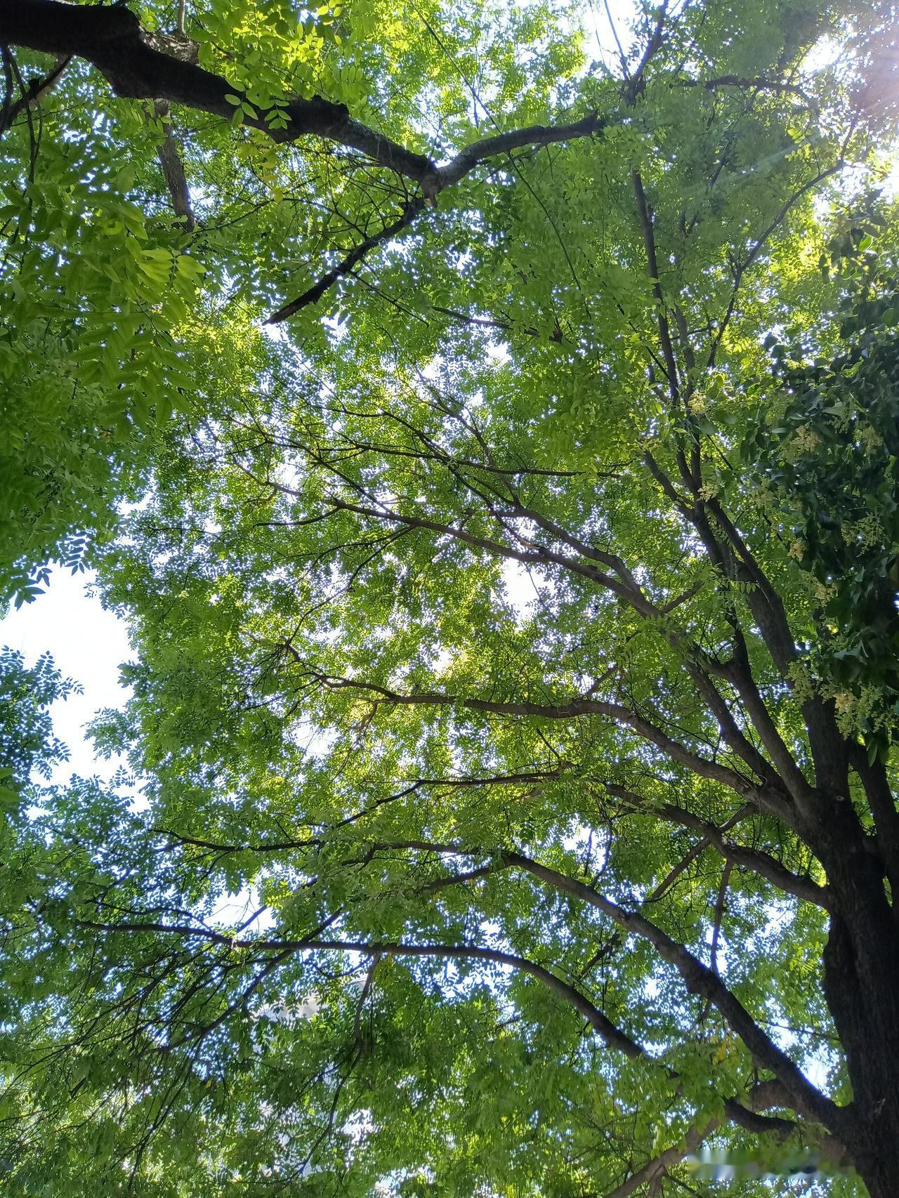 炒股人，就是这么容易满足！

炒股的人，能忍受跌，却忍受不了涨！
跌一两个月，都