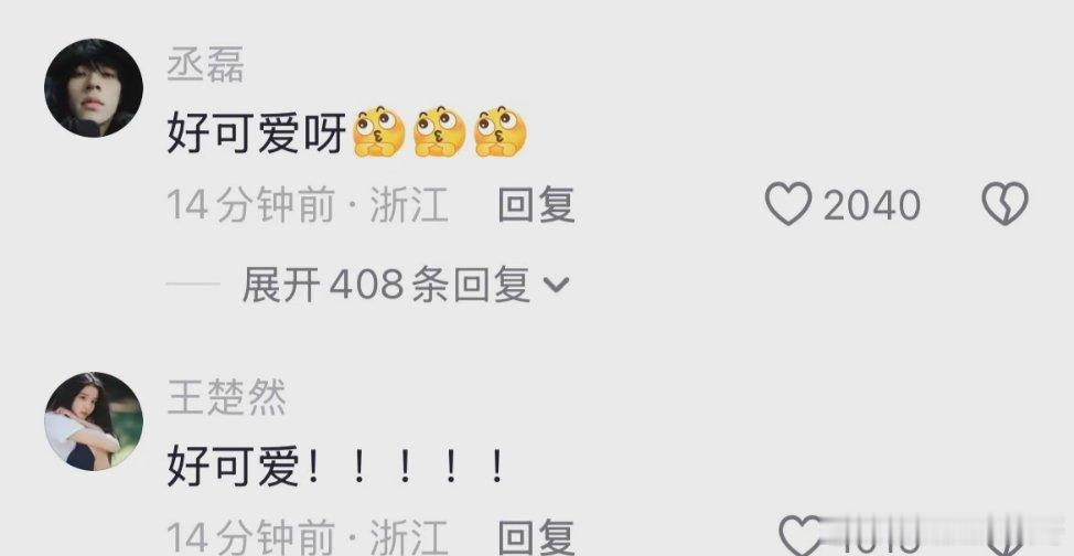 丞磊王楚然你俩商量好的吧 