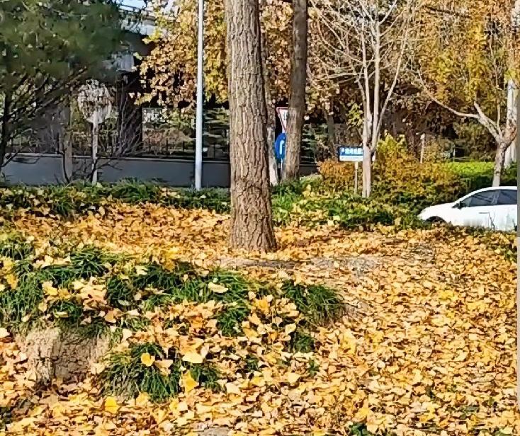 美貌是外在的、易逝的，随着时间流逝会逐渐衰退；而人品是内在的、恒久的，会随着岁月