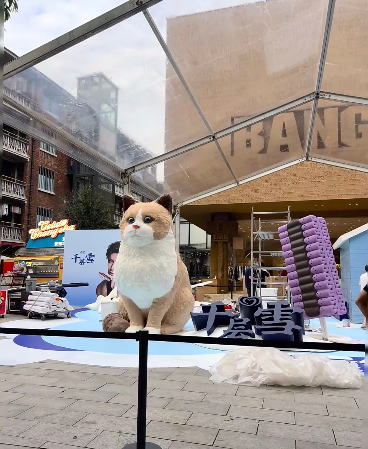 潮宗街已经放上侯明昊的立牌和小猫啦🐱 