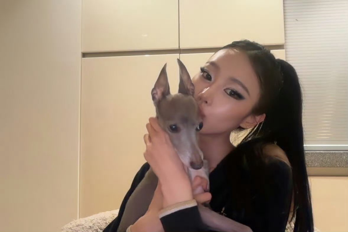 aespa成员狗狗聚会 Aespa成员可爱狗狗聚会🐶金玟庭：波妞Giselle