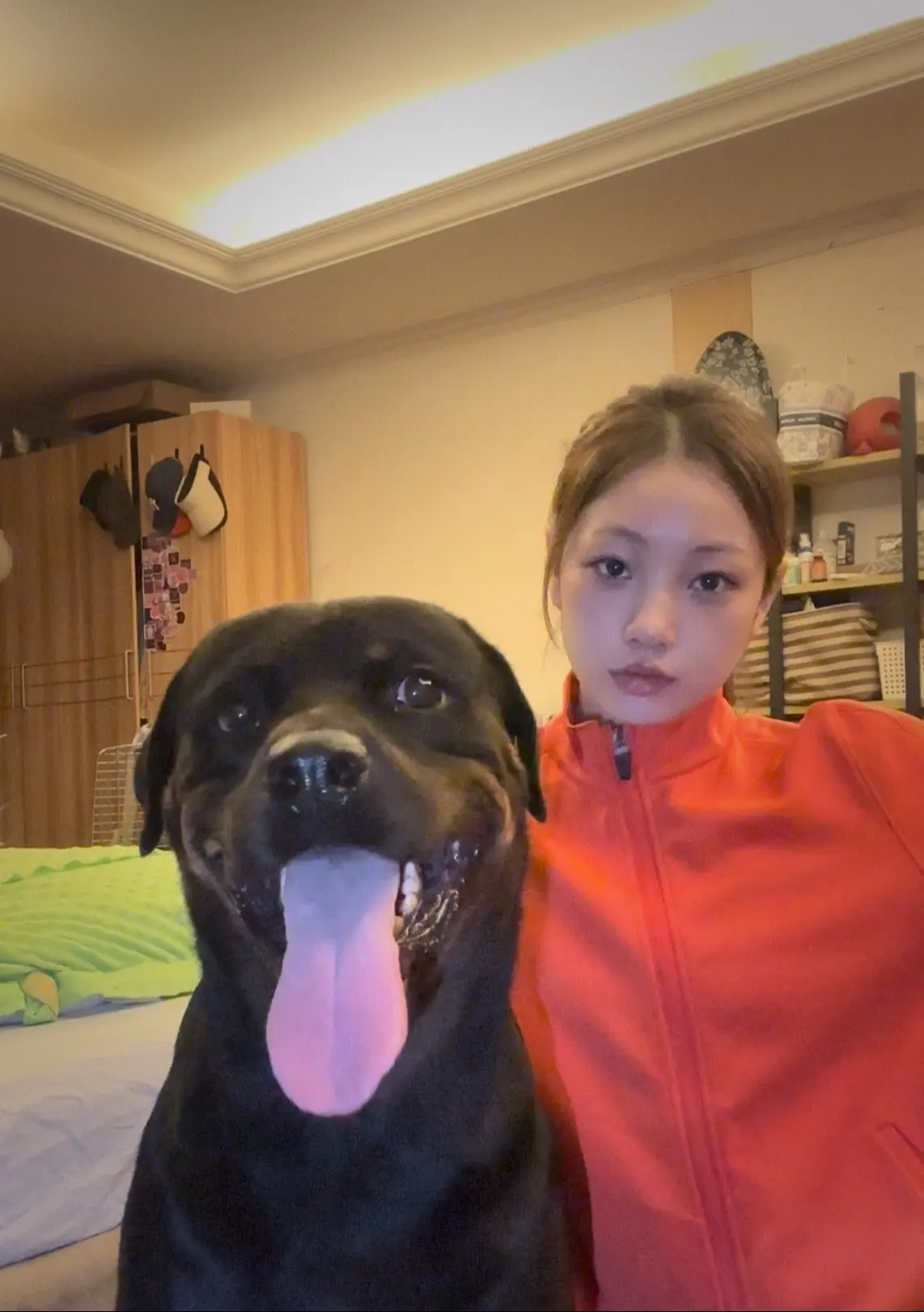 谁的小狗谁心疼