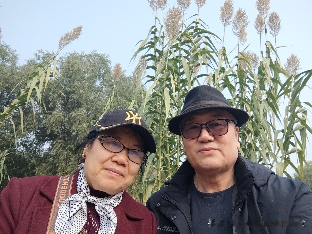 秋风轻拂，芦苇摇曳。相伴同行的日子，平淡却格外珍贵。
岁月染白了发丝，却沉淀了温