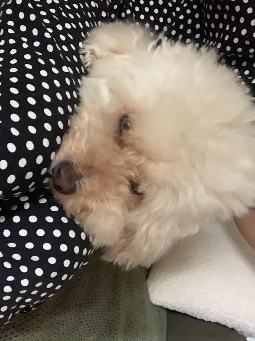 醒来母子两腻味一下最温馨时刻 