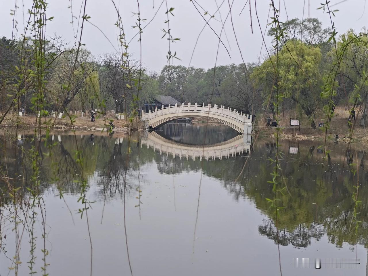 [灵光一闪]花红柳绿映万泉！
​我小时候就是在大东边门长大的，小河沿公园（现在的